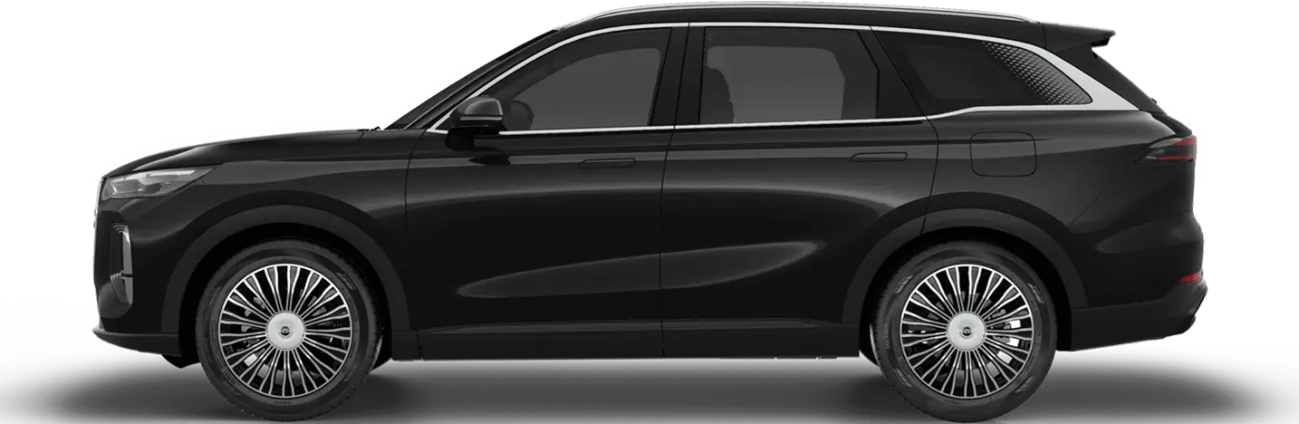 TIGGO 9