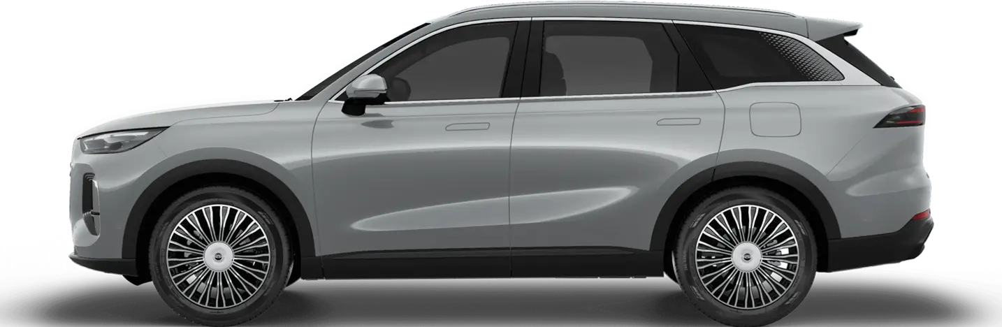 TIGGO 9